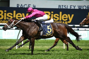 Surf To Turf Day at Randwick Tips, Race Previews and Selections