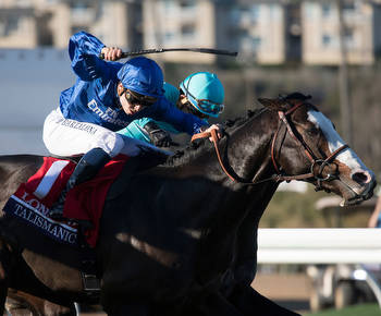 Suspicious horseplay? Breeders' Cup Betting Challenge under review