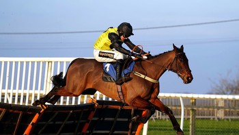 Sussex Champion Hurdle: Aucunrisque shows battling quality to bag Plumpton feature for Chris Gordon