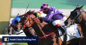 Sweet Encounter and Alexis Badel bring contrasting form figures to Sha Tin on Saturday