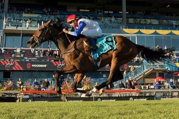 Sweet redemption for Sir for Sure in Breeders’ Stakes