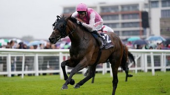 Sweet William backers guaranteed Ebor run