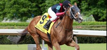 Sword Dancer, Forego, Pat O'Brien, Charles Town Classic top weekend horse racing