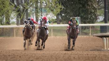 Sycamore Stakes Predictions, Odds, Picks (Keeneland)