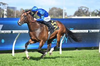 Sydney colt heads early odds in the Caulfield Guineas