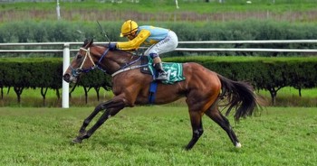 Synthesis starts firm favourite