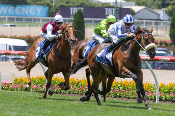Talented filly heads odds in the Angus Armanasco Stakes