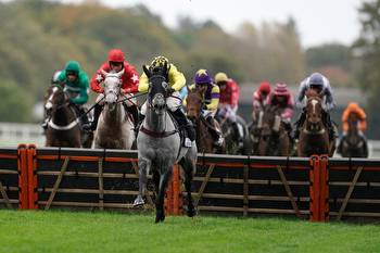 talkSPORT Friday racing tips: Daily picks from Ascot and Fontwell