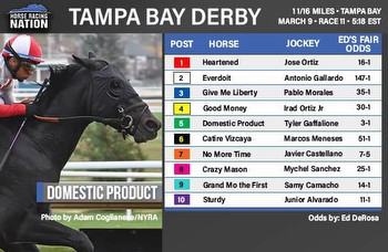 Tampa Bay Derby fair odds: 1 stands out in Ky. Derby prep