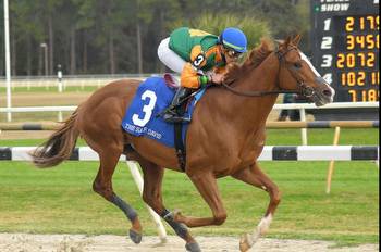 Tampa Bay Derby headlines weekend horse racing
