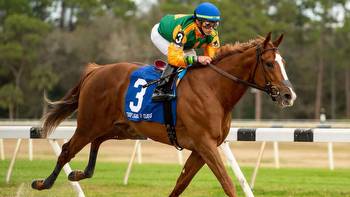 Tampa Bay Derby Predictions, Picks, Betting Odds 2022