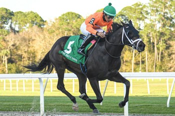 Tampa Bay Derby provides opening for some Triple Crown hopefuls
