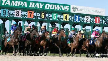 Tampa Bay Downs' Barn Notes: Freedom Road Ready for Saturday's "Derby"