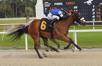 Tampa Bay wrapup: Zydeceaux (9-1) is upset winner in Pasco