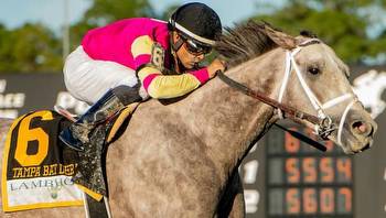 Tapit Trice Kentucky Derby Odds For 2023 Churchill Downs Race