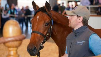Tattersalls Book 2: Dubawi filly tops day one