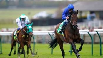 Tattersalls Irish 2,000 Guineas: Horse-by-horse guide and trainer views