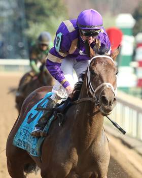 Tawny Port Favored In A Talented Ohio Derby Field