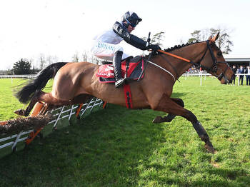Teahupoo 10-1 for Champion Hurdle after smooth Gowran win