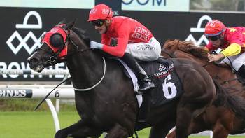Team Snowden have Everest contender Mazu ready to peak for TJ Smith Stakes