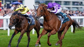 Templegate Tote placepot tips: Win a share of £150,000 at Newbury on Saturday