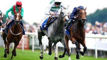 Templegate's Yorkshire Oaks tip and complete runner-by-runner guide to Ebor Festival blockbuster