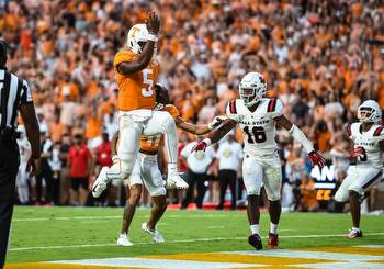 Tennessee vs Pittsburgh Prediction: Over/Under Best Bet, Week 2