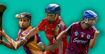 The 2012 Camogie All-Star Team: Where Are They Now?