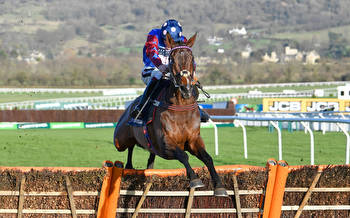 The 2022 Paddy Power Stayers’ Hurdle: runner-by-runner guide