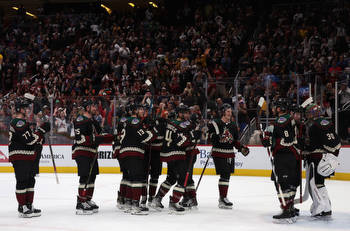 The Arizona Coyotes Guide To The 2022-23 NHL Season