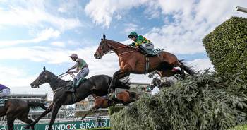 The best Grand National each-way bets, tips and which finishing places bookies are paying out on