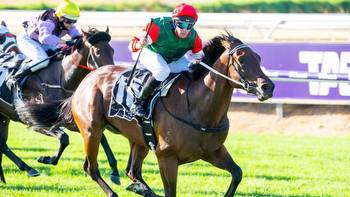 ‘The best since Northerly' as Amelia's Jewel heads to trials