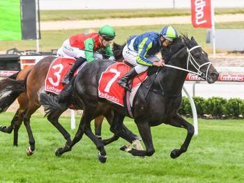 The big calls for Northerly Stakes and Pakenham Cup day