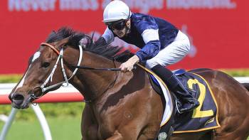 The Big Dance to compliment the Melbourne Cup