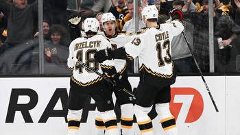 The Boston Bruins Are the Favorites to Win the Stanley Cup