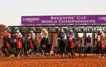 ‘The Breeders’ Cup puts equine safety first and foremost’