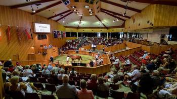 The business of racing: Equine diamonds await buyers at Karaka