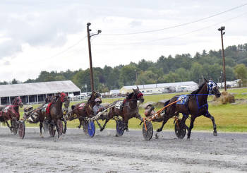 The camaraderie of horse racing