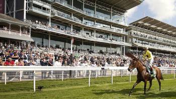 The Ebor festival 2020: all you need to know for York's showpiece meeting