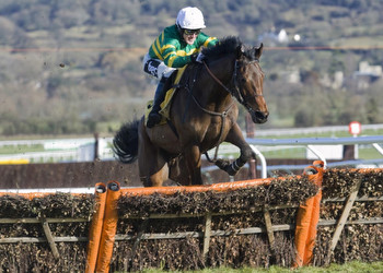 The favourites for the Champion Hurdle