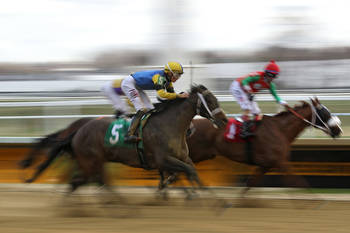 The future of horse racing in Maryland and fate of Preakness Stakes hang in the balance