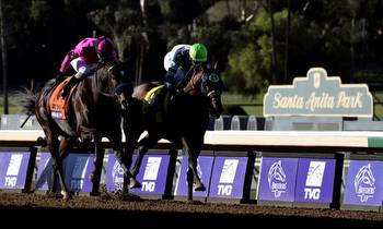 The Future Of Sports Betting Is Horse Racing