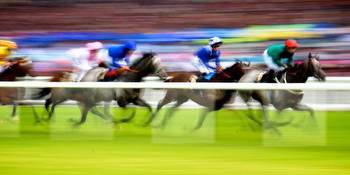 The Gambling White Paper: A test of the Government's commitment to horse racing