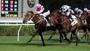 The Hong Kong File: Graham Cunningham looks ahead to Wednesday's meeting at Happy Valley