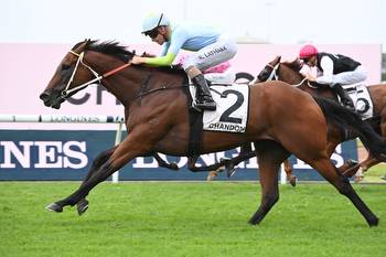The Ingham Stakes 2022: Perry gelding shoots for the Sky