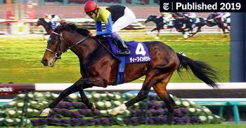 The Japan Cup Honors Deep Impact