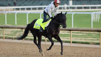 The Kentucky Derby 2023: post time, how to watch on TV and stream online