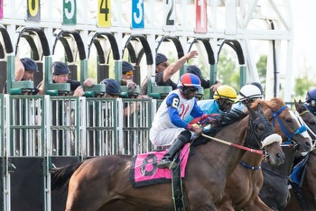 The Kentucky Derby: 5 Horses to Keep an Eye On