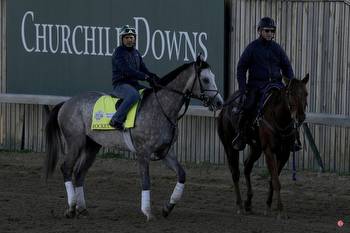 The Kentucky Derby field: Tidbits on all 20 horses