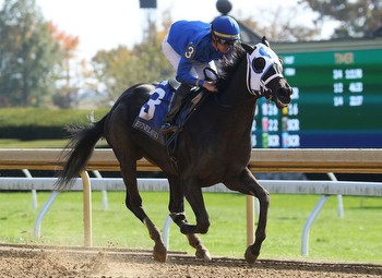 The Kentucky Oaks Top 10 for February 29